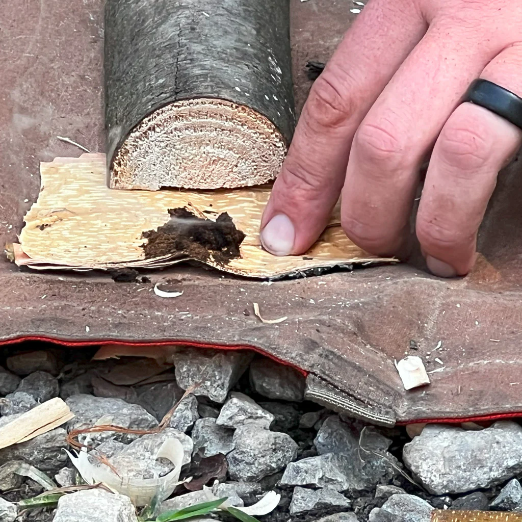 BUSHCRAFT 101 - Image 4