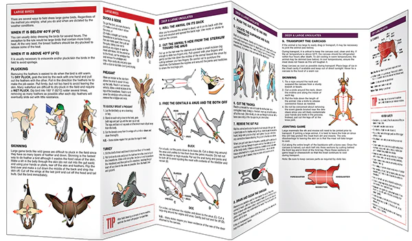 Field Dressing Game - Image 3