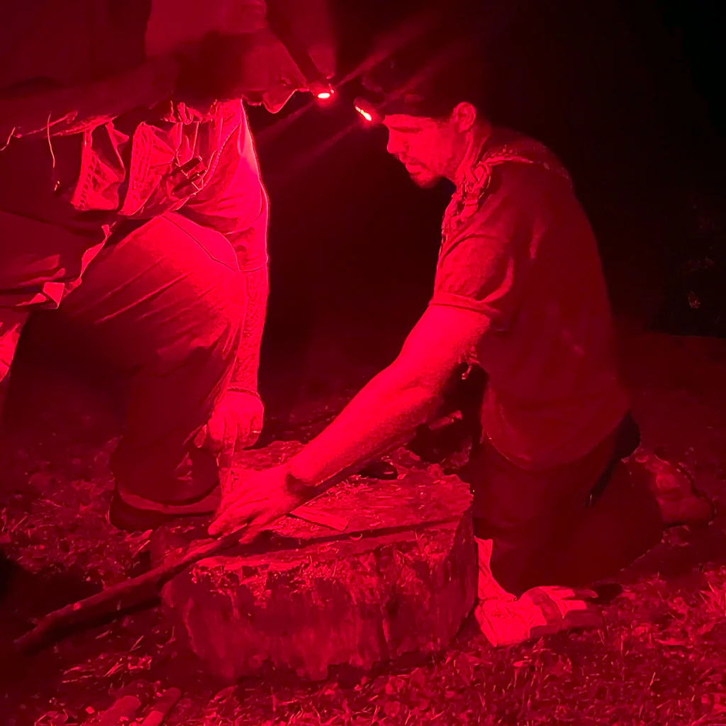 INTERMEDIATE SURVIVAL - Image 3