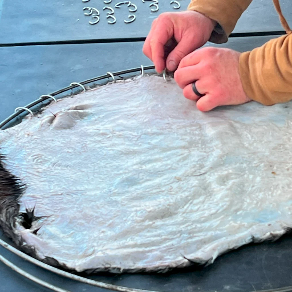 MODERN TRAPPING - Image 6