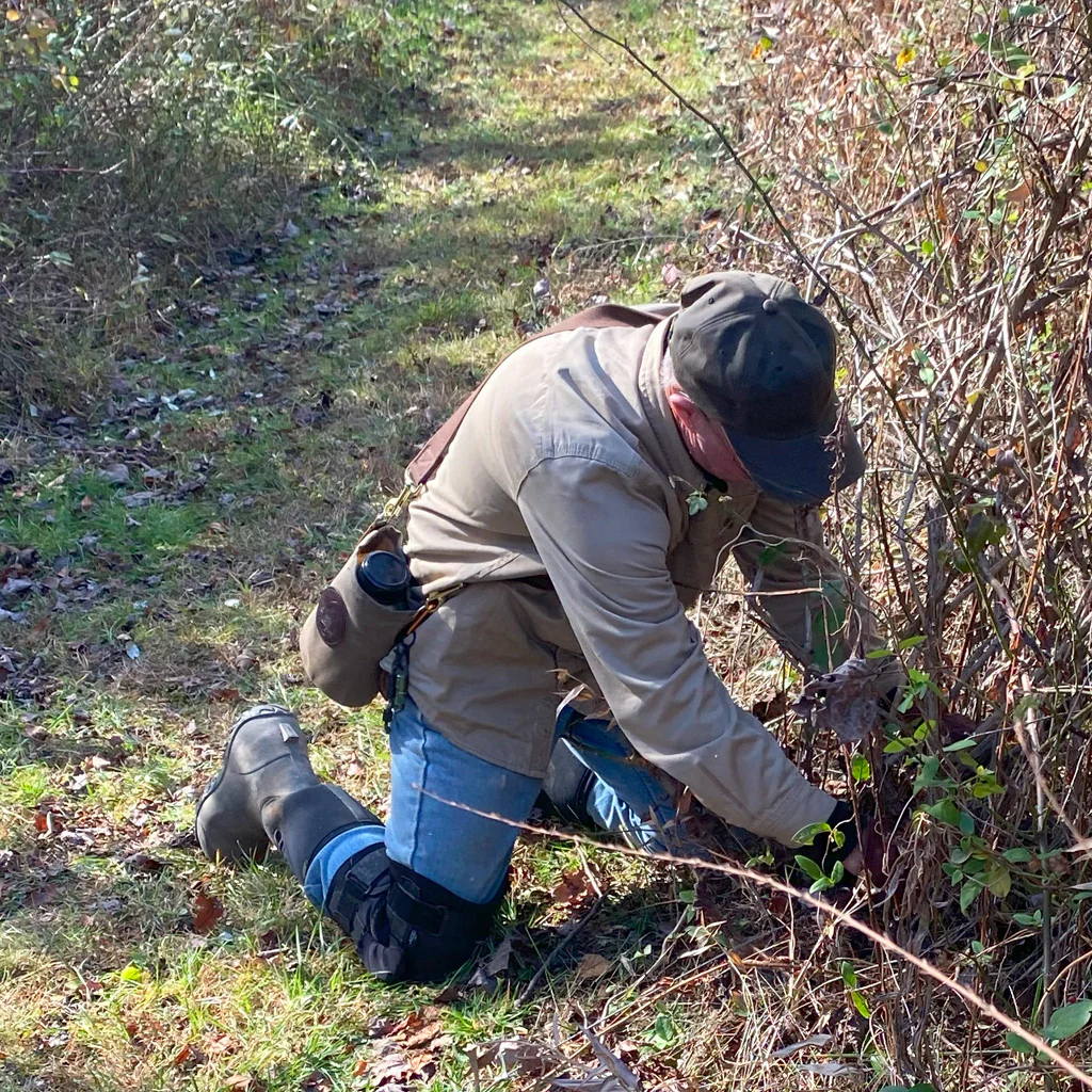 MODERN TRAPPING - Image 9